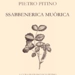 Copertina libro_Ssabbenerica Muòrica