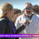 Zingaro a UnoMattina Estate