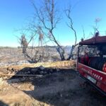 incendio serre 1 giugno