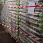 GdF Pellet