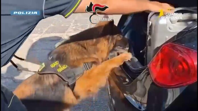 operazione Oikos