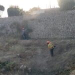 IMG-20250726-WA0045