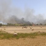 incendio sorda sampieri
