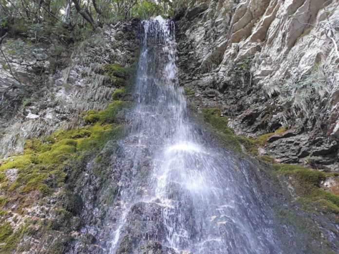 sorgente, acqua