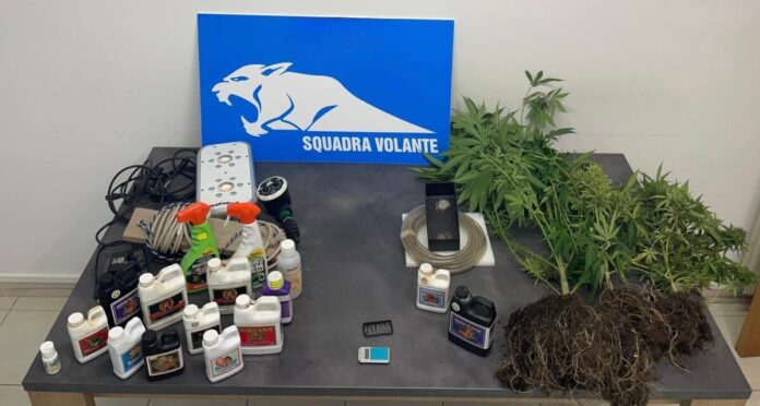 Modica arrestato coltivazione di sostanze stupefacenti