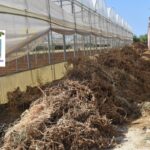 fratta, controlli fumarole