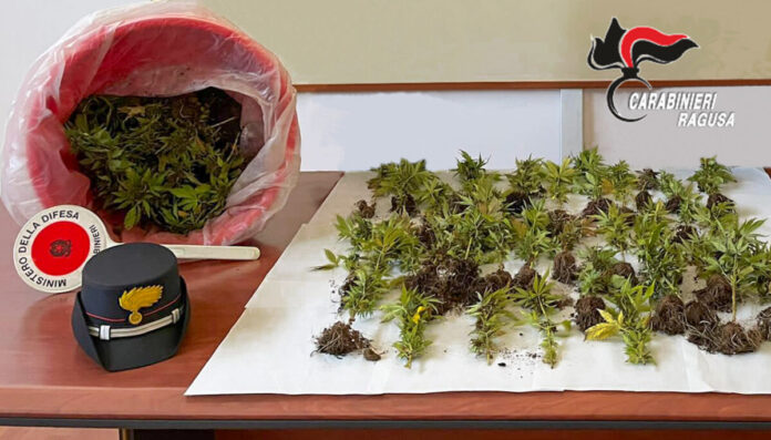 SEQUESTRO CANNABIS VITTORIA