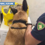 LA POLIZIA DI STATO ARRESTA 2 PUSHER 2