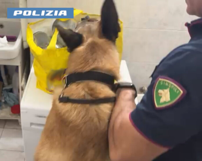 LA POLIZIA DI STATO ARRESTA 2 PUSHER 2
