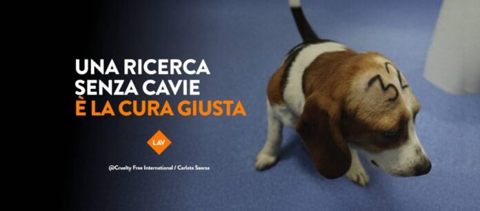 Lav ricerca senza animali