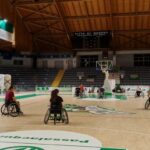 Basket in carrozzina