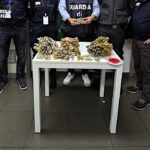 Corallo sequestrato, aeroporto Catania