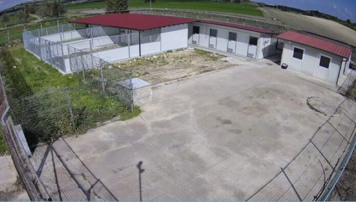 Canile Panoramica (2)