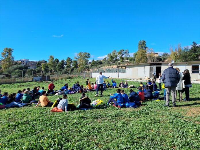 Lezione gestione cani