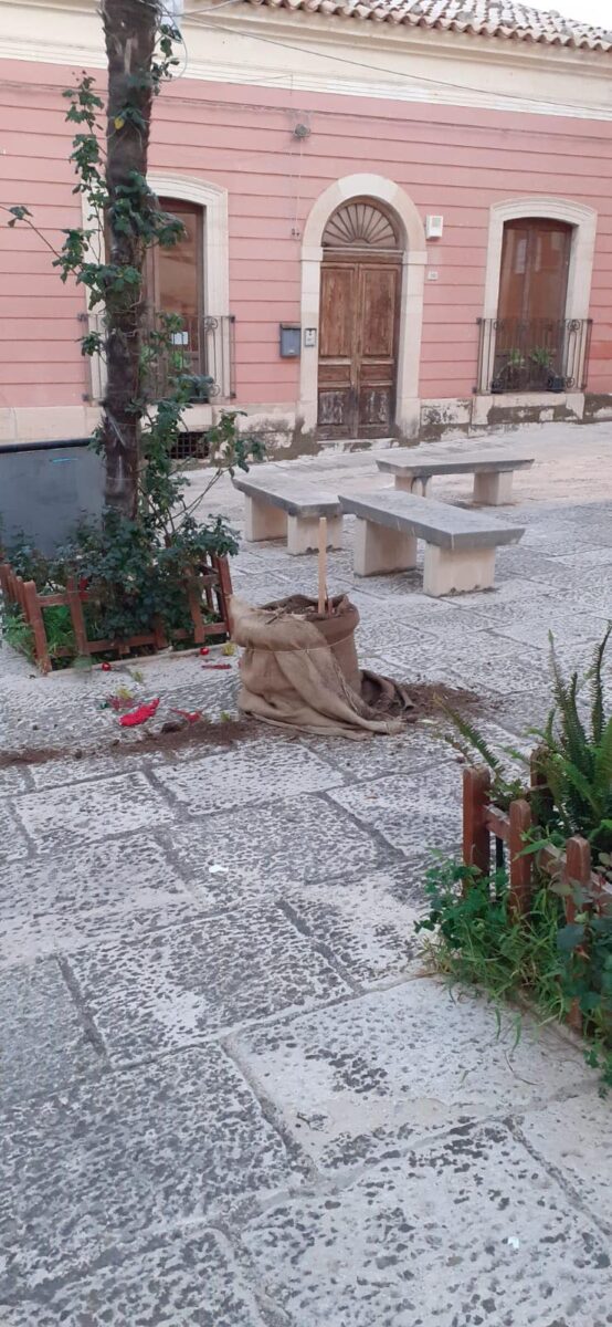 albero di natale rubato a comiso