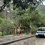 Polizia Locale, maltempo Ragusa