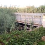 Torrente Mistretta, ponte Punta Braccetto