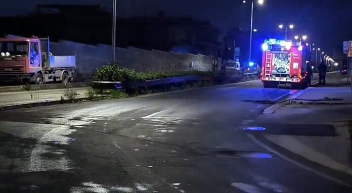 WhatsApp Image 2026-01-04 at 07.58.29