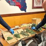 foto sequestro marijuana