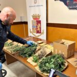 foto sequestro marijuana2