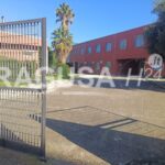 Scuola Senia, infanzia, Comiso