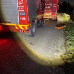 Vigili de Fuoco, Calaforno