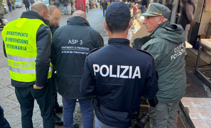 CONTROLLI DELLA TASK FORCE COORDINATA DALLA POLIZIA DI STATO IN ALCUNE MACELLERIE DELLA ZONA DI PIAZZA CARLO ALBERTO RISCONTRATE GRAVI CARENZE 2