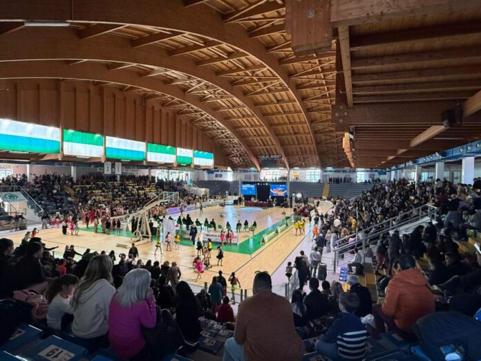 Palaminardi, Gran Prix