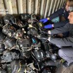 01042026_043646_FOTOLAN2