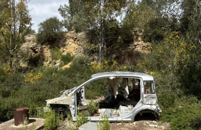 Auto nel boschetto Pino d'Aleppo