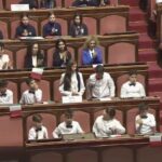 Ist Vittorini, Senat