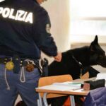 cinofli nelle scuole