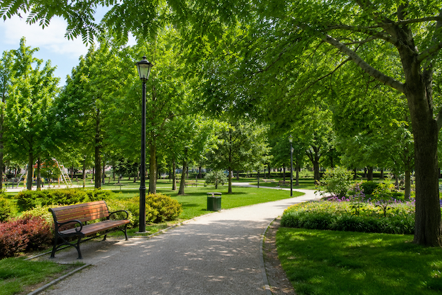 Parco