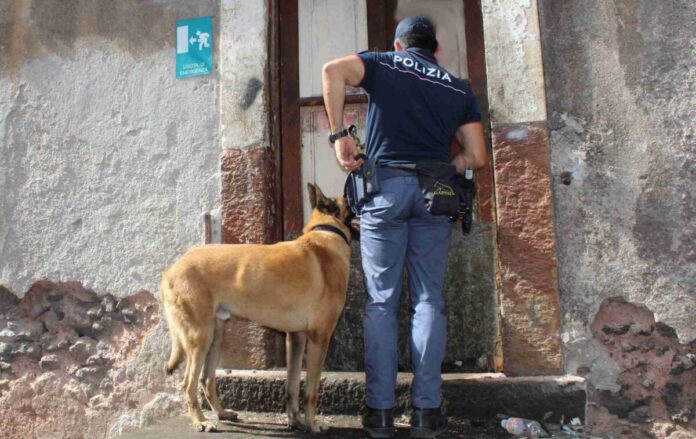 18ENNE SORPRESO IN CASA CON LA DROGA E CON UNA BOMBA CARTA ARRESTATO DALLA POLIZIA DI STATO