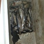 Comiso, alimenti market abusivo