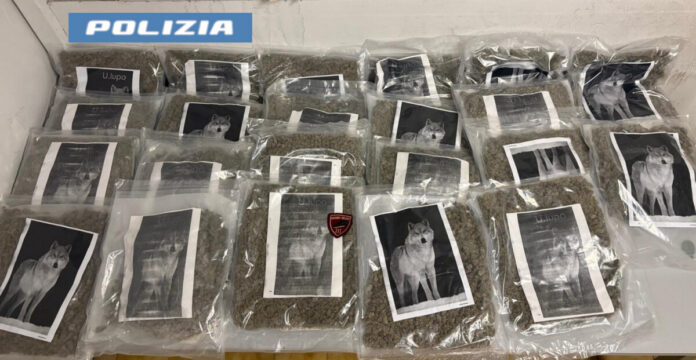 - LA POLIZIA DI STATO SEQUESTRA 20 KG DI MARIJUANA, GRAZIE ALLA SEGNALAZIONE DI UN CITTADINO