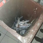 rifiuti, market abusivo