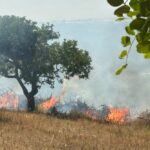 San Bartolo, Incendio