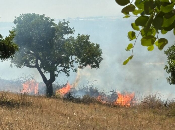 San Bartolo, Incendio