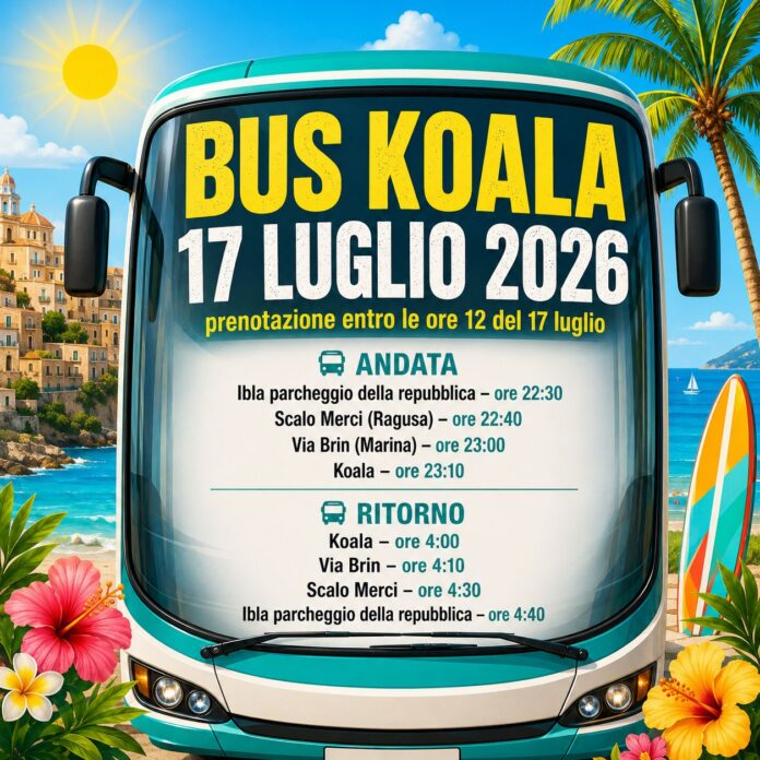 bus koala