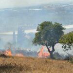 incendio S Bartolo
