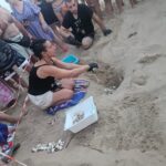 Caretta Caretta, Costa Fenicia