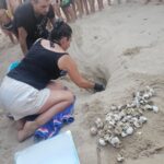 Costa Fenicia, Caretta Caretta