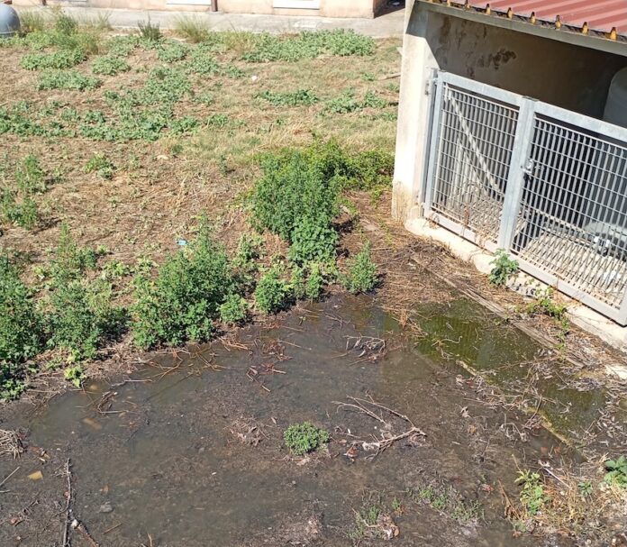 Fognatura Ragusa, 2