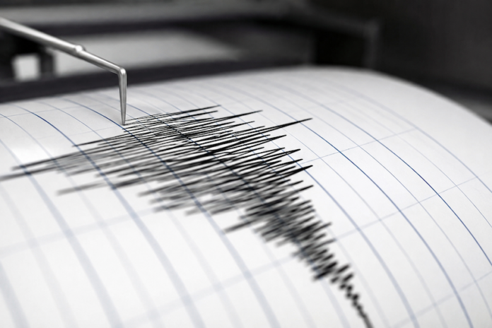 Grafico terremoto (immagine generata con I.A.)