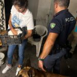 Polizia, cinofili e coniglietto salvato