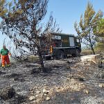 mezzo forestale, incendio