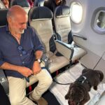 primo cane di grossa taglia in aereo, palermo