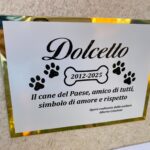 targa Dolcetto