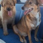 Briciolo e Lia